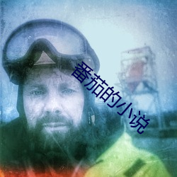 番茄的小說