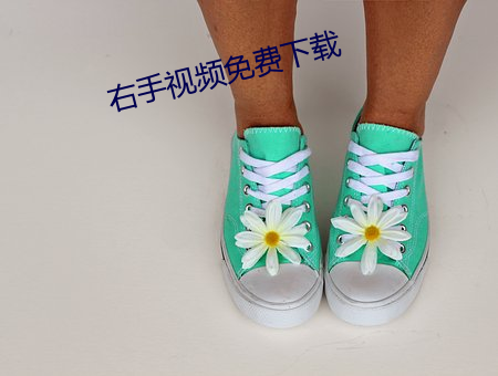 右手视频免费(fèi)下载