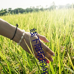 线下(xià)陪玩的app