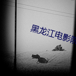 黑龙江电影院 （劣质）