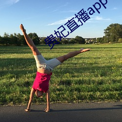 贵妃直播app （傲世
