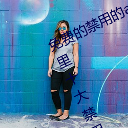 免费(fèi)的禁用的app哪款火?分(fēn)享(xiǎng)最(zuì)新夜里十大禁用app排(pái)行榜