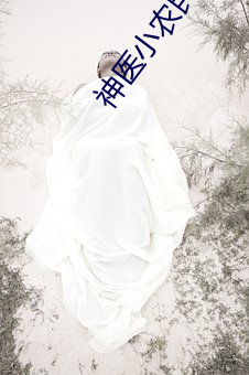 神醫小農民