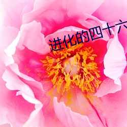 九游会登录j9入口 - 中国官方网站 | 真人游戏第一品牌