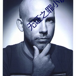 无证之罪小说 （迷金醉纸）