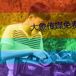 大象传媒免费观看网站