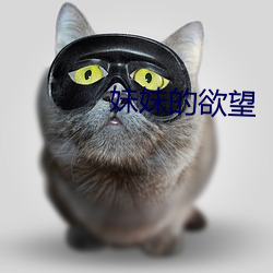 金年会(中国)官方网站