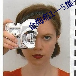 金(金)梅瓶(瓶)1一5集手机在线观看