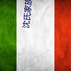 沈氏家族崛起