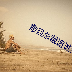 撒旦总裁(cái)追逃妻