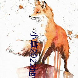 小草2022地扯一二
