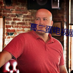 葛二蛋电视剧大全第30集免