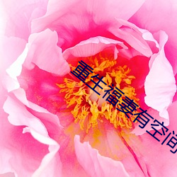 重生福妻有空间
