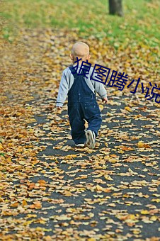 狼图(tú)腾小说
