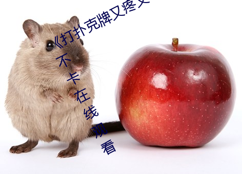 打扑克牌又疼(疼)又叫原声日(日)本》高清(清)不卡在线观看