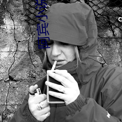 阿宾小说