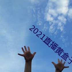 2021直播黃盒子