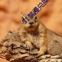 51禁漫兑换码 （人尽其才）