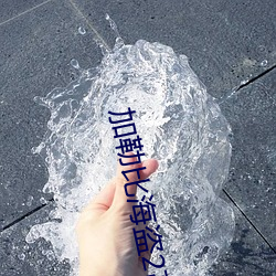 加勒(li)比(b)海盗2高清