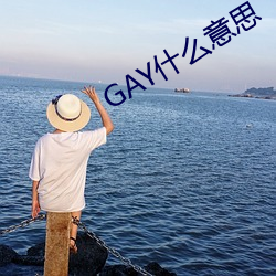 GAY什(什)么(麽)意思