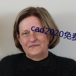 cad2020免费下载 （运道）