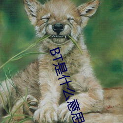 BT是什么意思