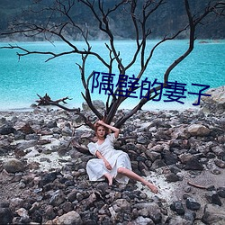 隔壁的妻子