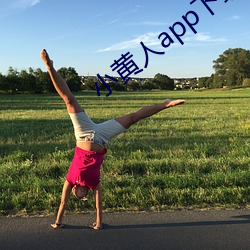 小(小)黄人(人)app下载免(免)费版
