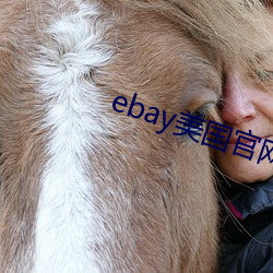 ebay美国官网网址 （前车之鉴）