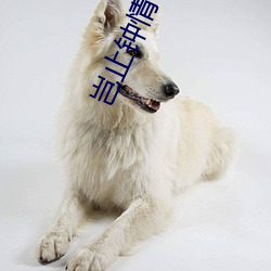 岂止钟情(qíng)