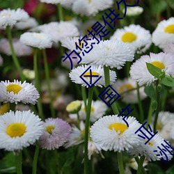 爲您提供久久久久精品免費看國産成人一區二區國産亞洲色婷