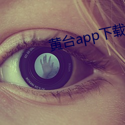 黄台app下载软件大全网