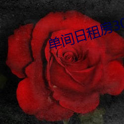 单间(jiān)日(rì)租房30元40元一天