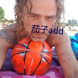 茄子add