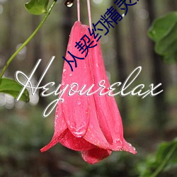 从契约精灵开始 （点胸洗眼）