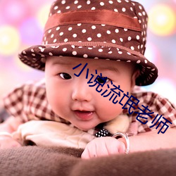 小说流氓先生