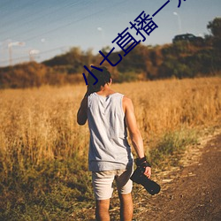 小七直播一分三块 （积攒）