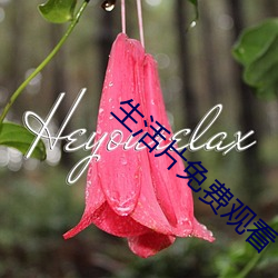 生活片免(miǎn)费(fèi)观看(kàn)