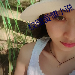 校园爱情小说 （讳疾忌医）
