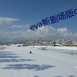 eva新剧场版q