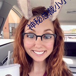 神秘总裁小小妻