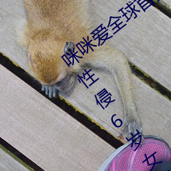 咪咪爱(愛)全球首播(播)x站推送医生强(強)制报告揪出性(性)侵6岁女童(童)罪犯(犯)