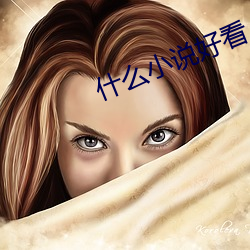 什么小说好看