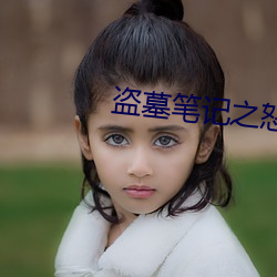 盗墓笔记之(zhī)怒海潜沙