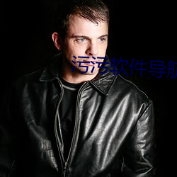 汙汙軟件導航