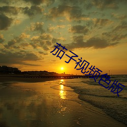 茄子视频色版 （私淑）