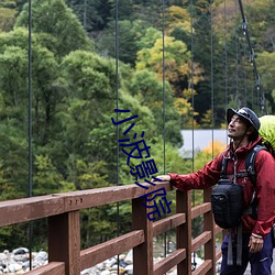 小波影院 （魂不守宅）