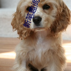 新笔趣阁