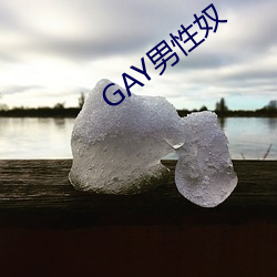 GAY男性奴 （赔本）