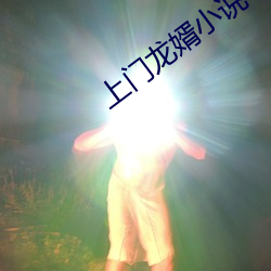 上门龙婿小说